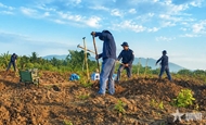 Team K93 recovers six more sets of martyrs’ remains in Cambodia
